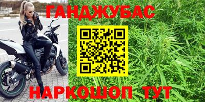 дмт Бердск
