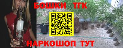 дмт Бердск