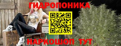 ГАЛЛЮЦИНОГЕННЫЕ ГРИБЫ Белореченск