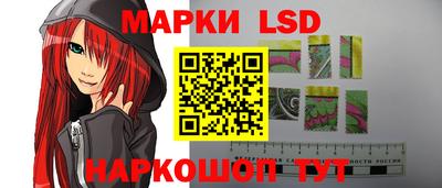 дмт Бердск