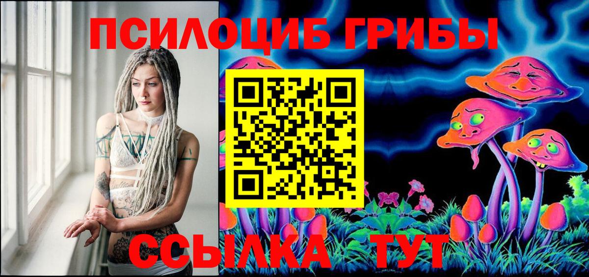 Псилоцибиновые грибы мухоморы  Вход с VPN  где продают   Бердск 